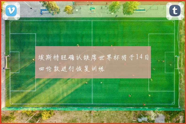 埃斯特旺确认缺席世界杯将于14日回伦敦进行恢复训练